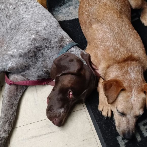 Meet your Posher, Debbie - Picture 1 of 1